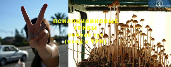 гидра Бугульма